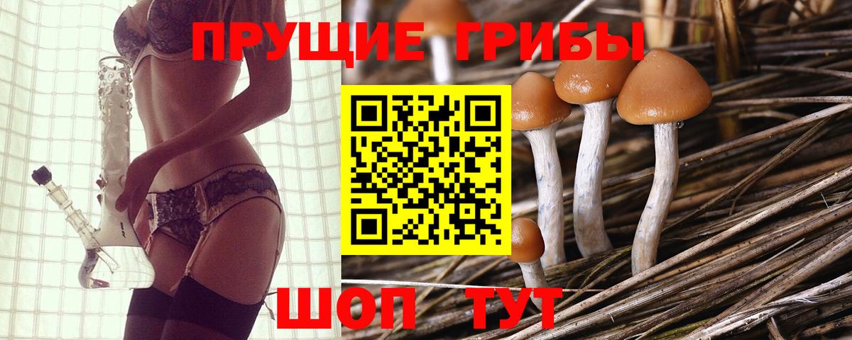 Галлюциногенные грибы GOLDEN TEACHER  Псилоцибиновые грибы прущие грибы  где купить наркоту  Междуреченск  Вход с VPN 